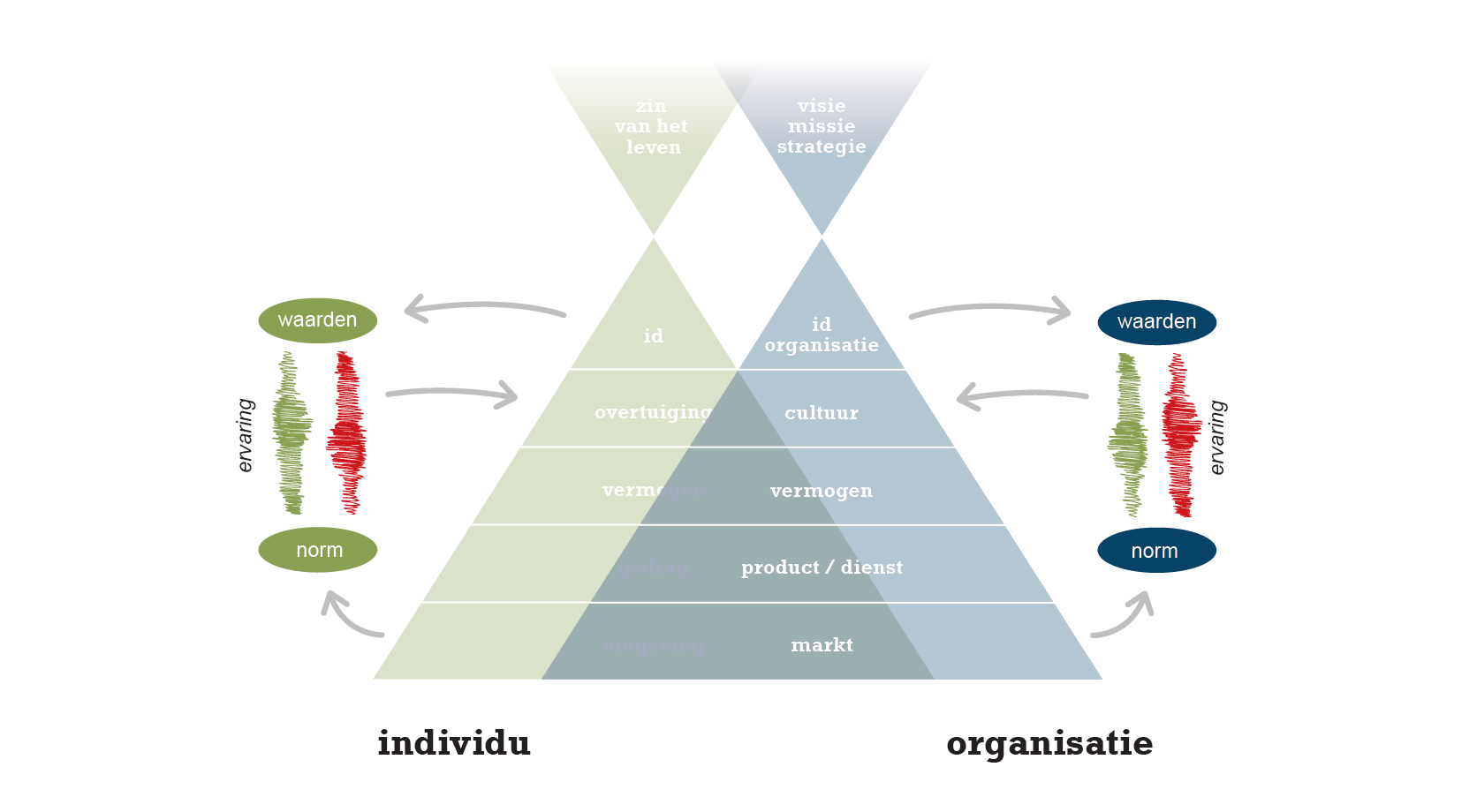 Z-model of Change bij de training Coachend Leiderschap en organisatie ontwikkeltraject van Leid met Lef
